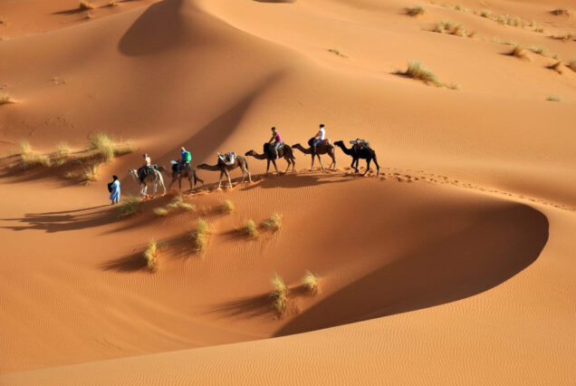 Desert Wonders, Experience the Fascination of the Desert