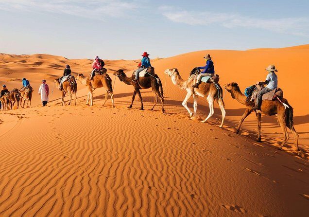 Sahara Desert Tours