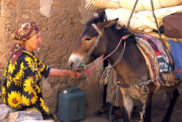 In the Heart of the Berber Country - 3-Day Trek between Traditions and Landscapes