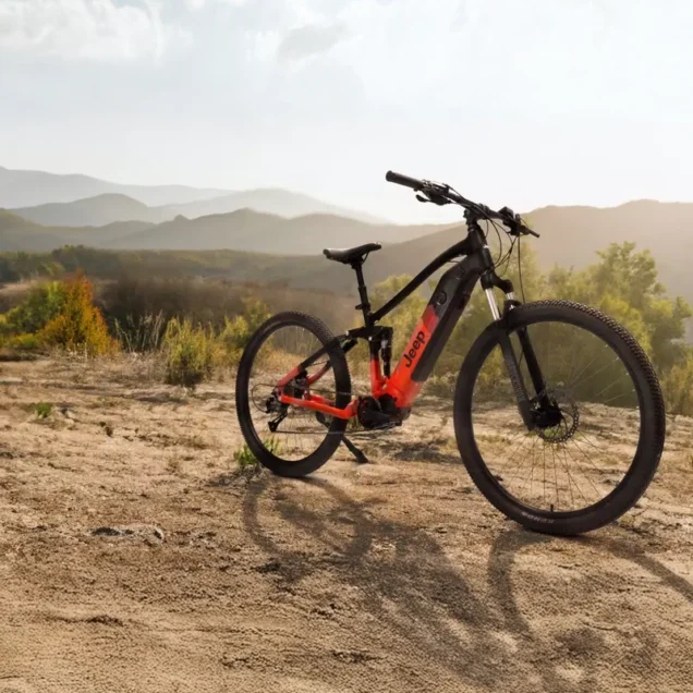 E-BIKE